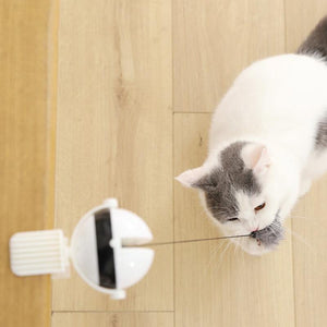 Automatic Cat Teaser Ball On String - SUELEAN