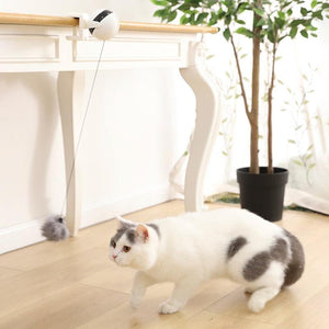 Automatic Cat Teaser Ball On String - SUELEAN