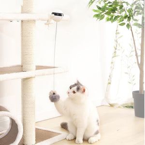 Automatic Cat Teaser Ball On String - SUELEAN